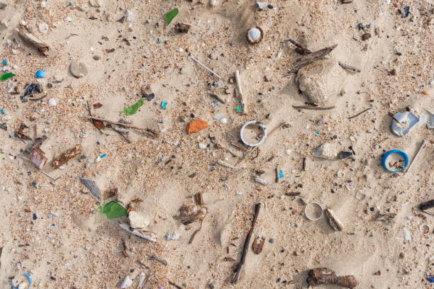istock Plastic garbage in sand on ocean beach. Pollution by microplastic rubbish on coastline 2058573666