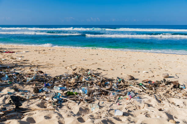 istock Pollution by plastic rubbish on ocean beach in Bali island. 2058573670