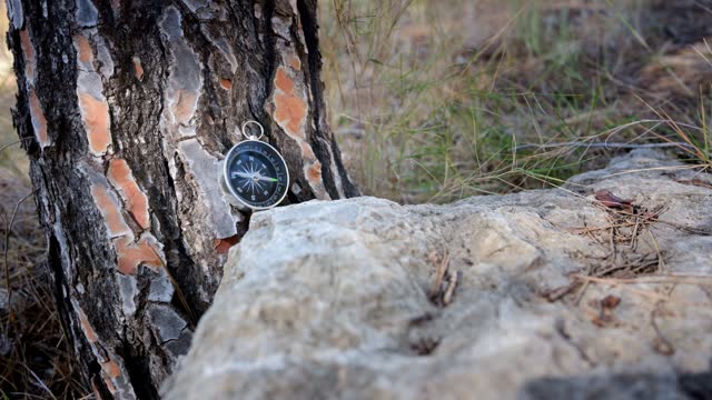 Glass compass beside tree at sunset