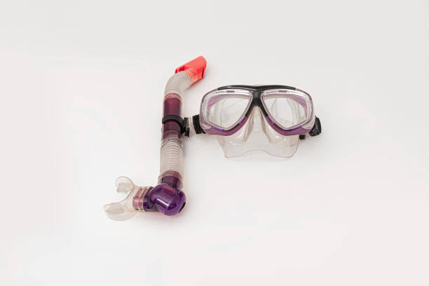 Purple plastic diving and snorkeling mask isolated on white background