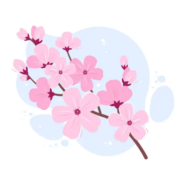 Vector illustration of Branch with blooming Sakura flowers