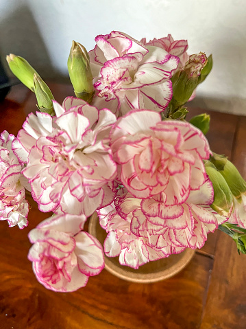 Pink and white carnations posy