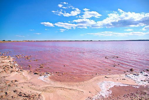 La Mata Pink Lagoon - saline water, Torrevieja region, Spain