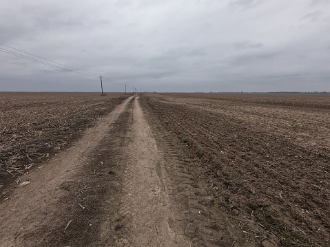 A dirt road amid uncultivated agricultural land.