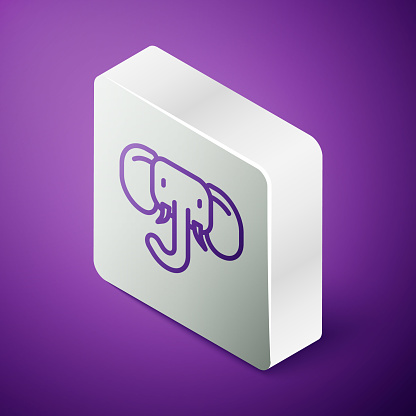 Isometric line Elephant icon isolated on purple background. Silver square button. Vector.