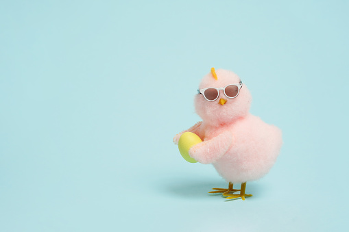 small cool chick in sunglasses with Easter egg on blue background, copy space
