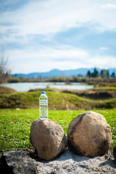 Celebrating the arrival of spring with a bottle of water