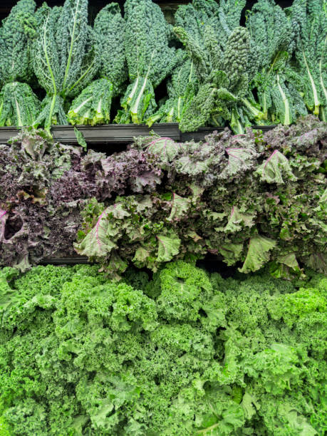istock Lettuce, Radicchio and kale 2058703654