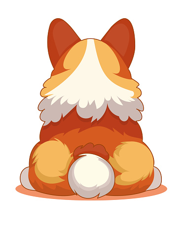 Dog's ass. Cute corgi puppy sitting, rear view. Funny animal with a thick ass and butt. Funny comical dog with cute buttocks. Flat graphic vector illustration on white background
