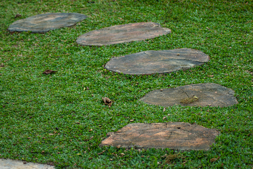 concrete for foot step in the garden