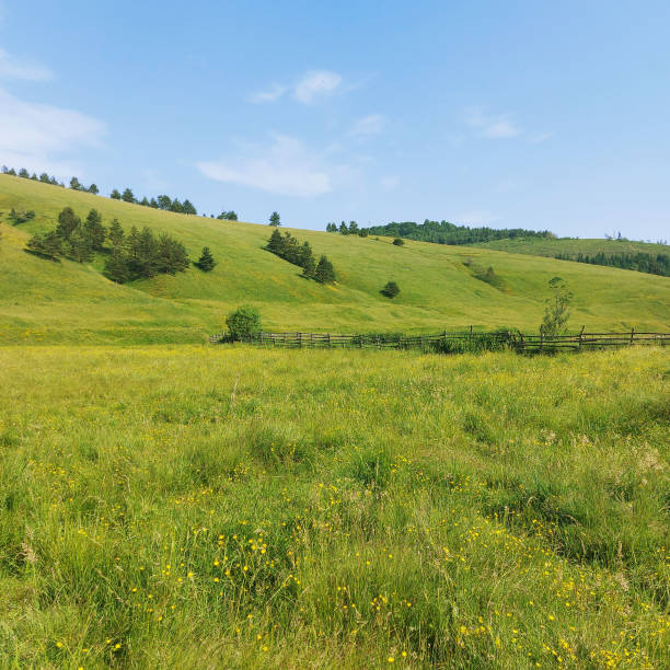 istock Beautiful green meadow under the hill 2058737865