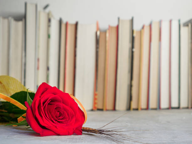 sant jordi red rose flower with books - sant jordi barcelona fotografías e imágenes de stock