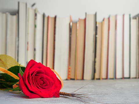 Red rose with spike and flag with books, Catalan book day tradition in Catalonia, Spain