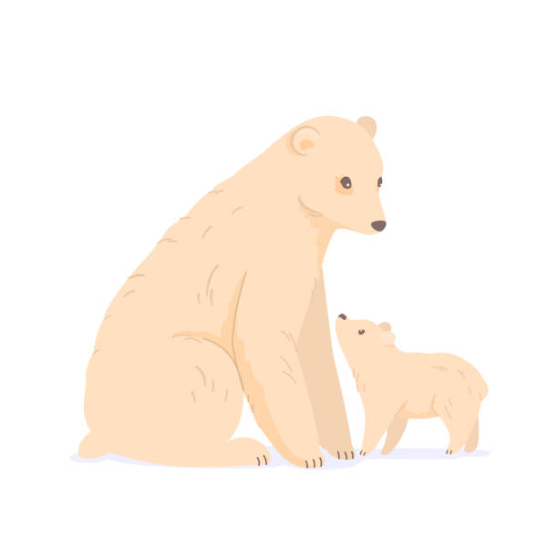 ilustrações de stock, clip art, desenhos animados e ícones de polar bear with cub in north pole vector illustration. cartoon cute nature arctic white bears isolated on white. global climate warming problem - polar bear global warming arctic wintry landscape