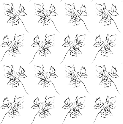 Outline leaves seamless pattern stock vector illustration for web, for print monochrome botanical vector illustration