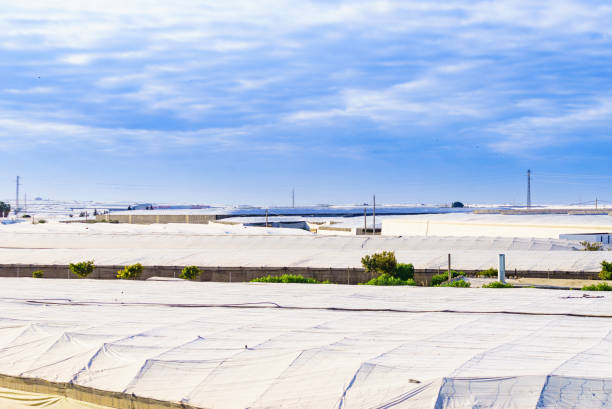 Spanish landscape and view of sea coast with many plastic greenhouses. Almeria region, Andalusia
