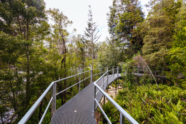 Tahune Airwalk in Tasmania Australia