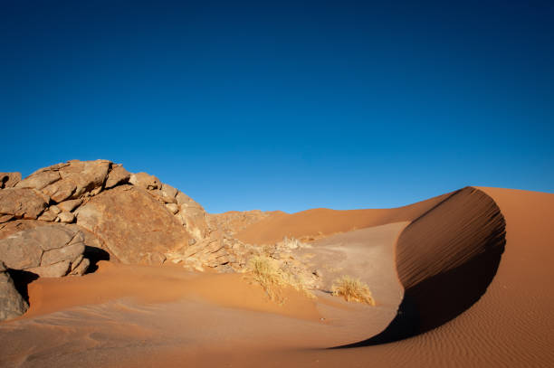 istock Bushman paradise in the Namib desert 2058822963