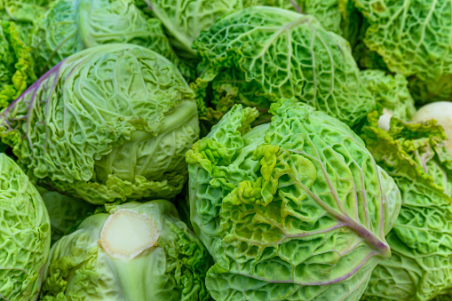 Close-up of harvested savoy cabbage on display at farmer's market