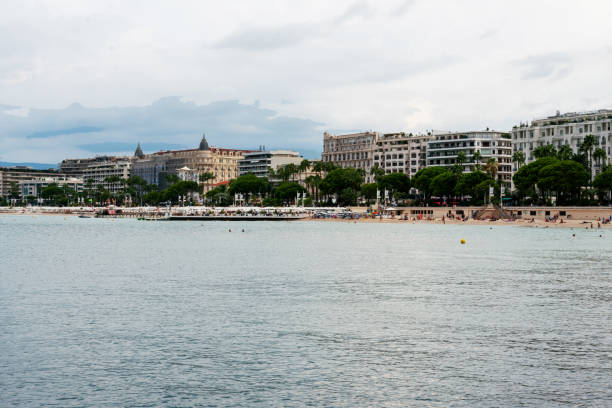 Fantastic  famous Croisette with Palm trees and pine trees an  people (blurred motion) and architecture maybe hotels. people swimming and sunbathing on common beach and private beach
