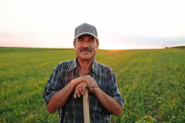 The evening sun casts a warm hue on the face of a male senior farmer, his mustache adding character to the portrait as he rests, exuding relaxation and happiness in the rural tranquility.