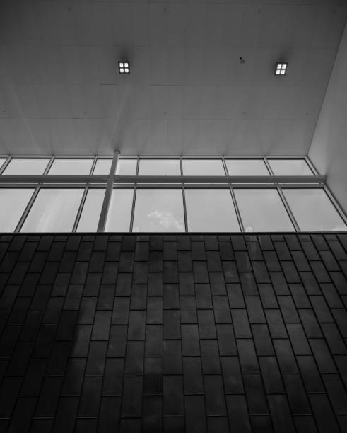 Looking up tall dark wall with a window near the white roof.