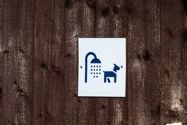 Sign for dog shower on a wall.