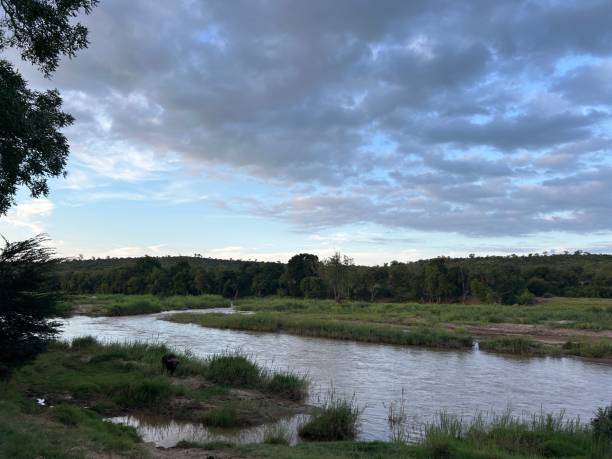 istock Late afternoon along Olifants river 2058881386