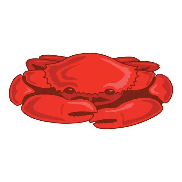 Vector illustration of Crab Illustration