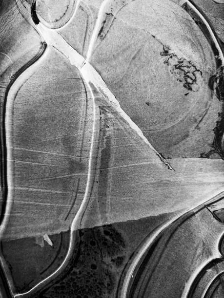 Black and White abstract