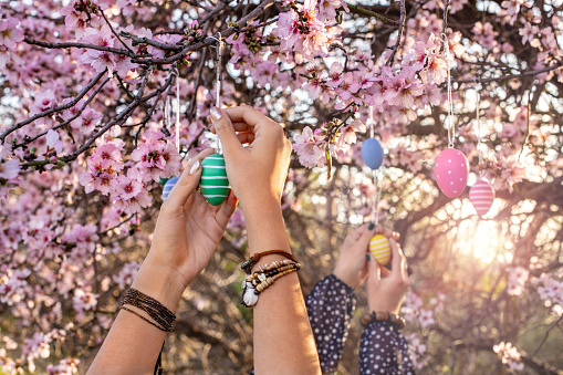 Hanging eggs for new wishes at spring time.