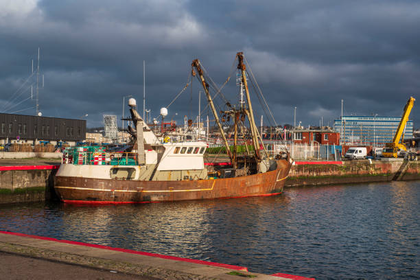 Mallaig, Scotland, Jul 24 2025 - Two red and white fishing trawlers are moored in Mallaig harbour on a calm day. The image captures the working heart of this Scottish fishing port.