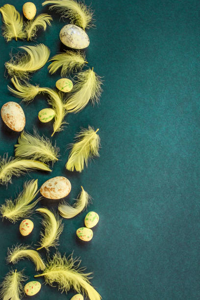 Easter eggs and yellow feathers on dark green background with copy space