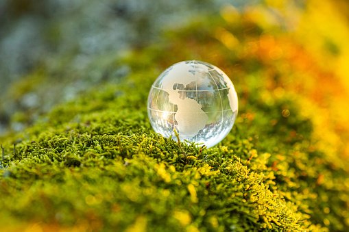 Glass globe lying on moss. Planet Earth.
