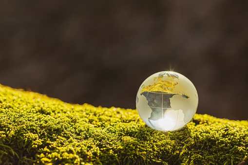 Glass globe lying on moss. Planet Earth.
