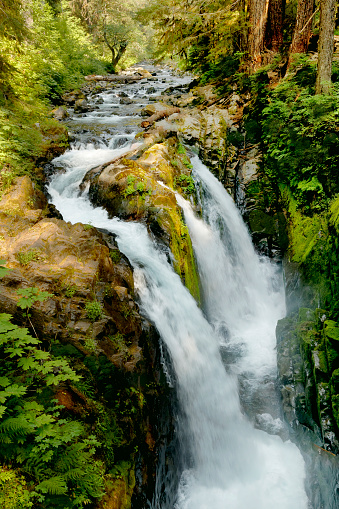 The Sol Duc Falls in the temperate rain forest of Olympic National Park.