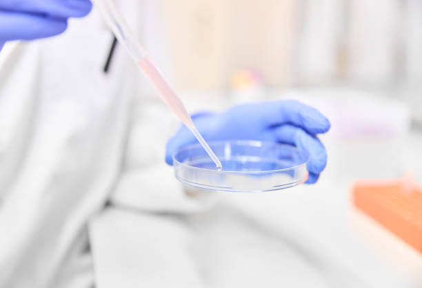 Scientist in blue latex gloves pouring solution from pipette on glass while conducting experiment in lab