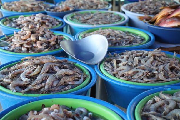 Fresh shrimp for sale at a market in Mazatlan, Mexico.