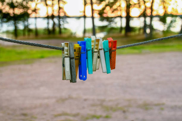 Bright coloured pins on clothes line in forest with copy space