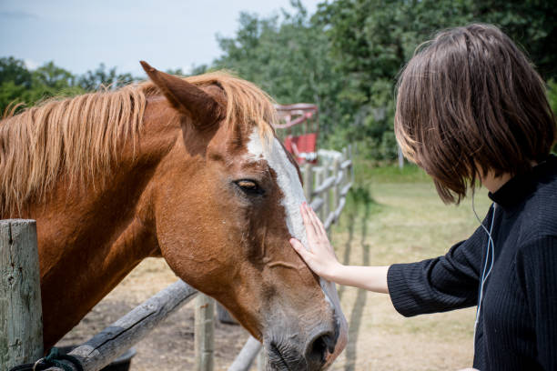 istock A Trans Teen's Tender Moment with His Horse 2059089870