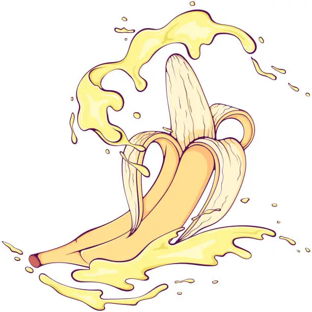 Vector illustration of Whole peeled banana with splash color