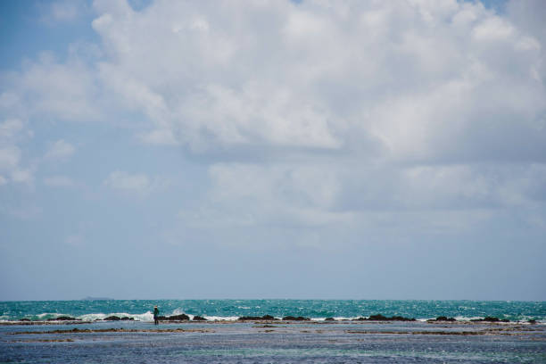 Beach in Pernambuco, Brazil