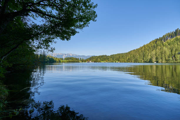 istock Gleinkersee in the beautiful nature of upper Austria 2059131803