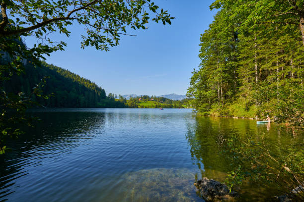 istock Gleinkersee in the beautiful nature of upper Austria 2059131827