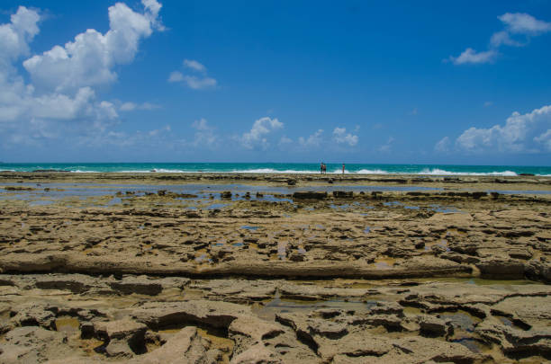 istock Beach, sun and sea in Brazil 2059132700