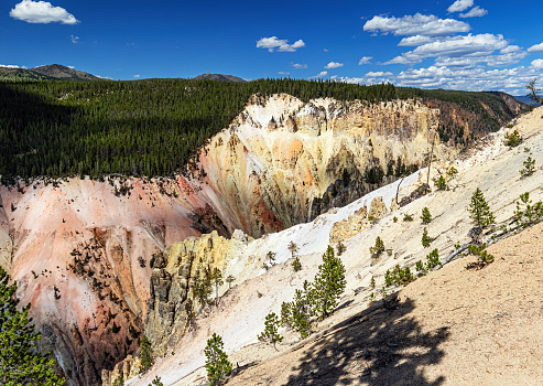 Panoramic summer landscape of the Grand Canyon of Yellowstone National Park