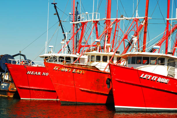 New Bedford, MA, USA May 28, 2008 A line of the commercial fishing fleet ships line the pier at the harbor in New Bedford, Massachusetts