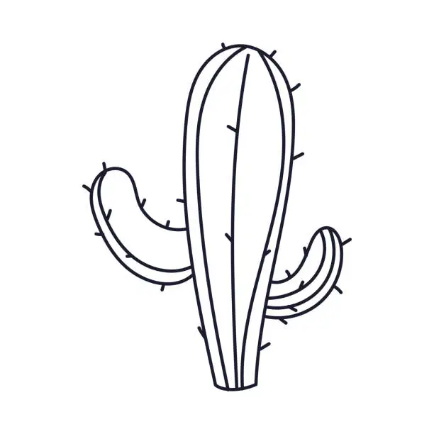 Vector illustration of Vector hand drawn cactus outline illustration