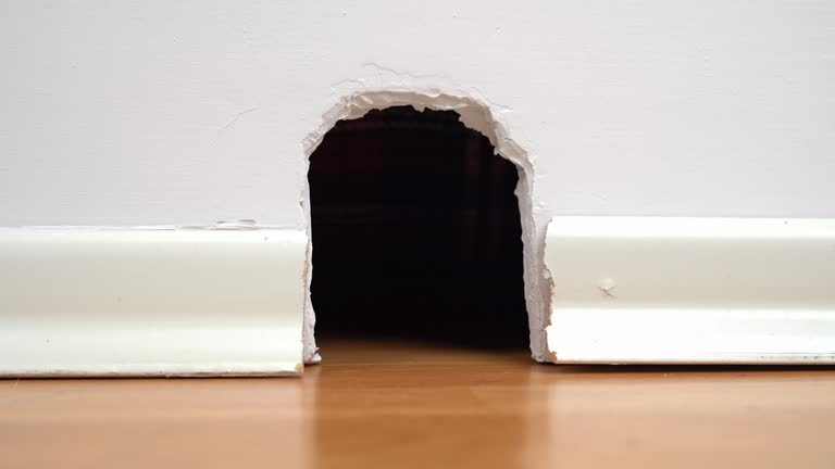 Hole in white wall with plinth, entrance to a mouse hole gnawed in the drywall