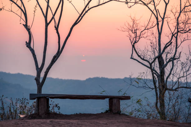 The lonely bench in the autumn forest